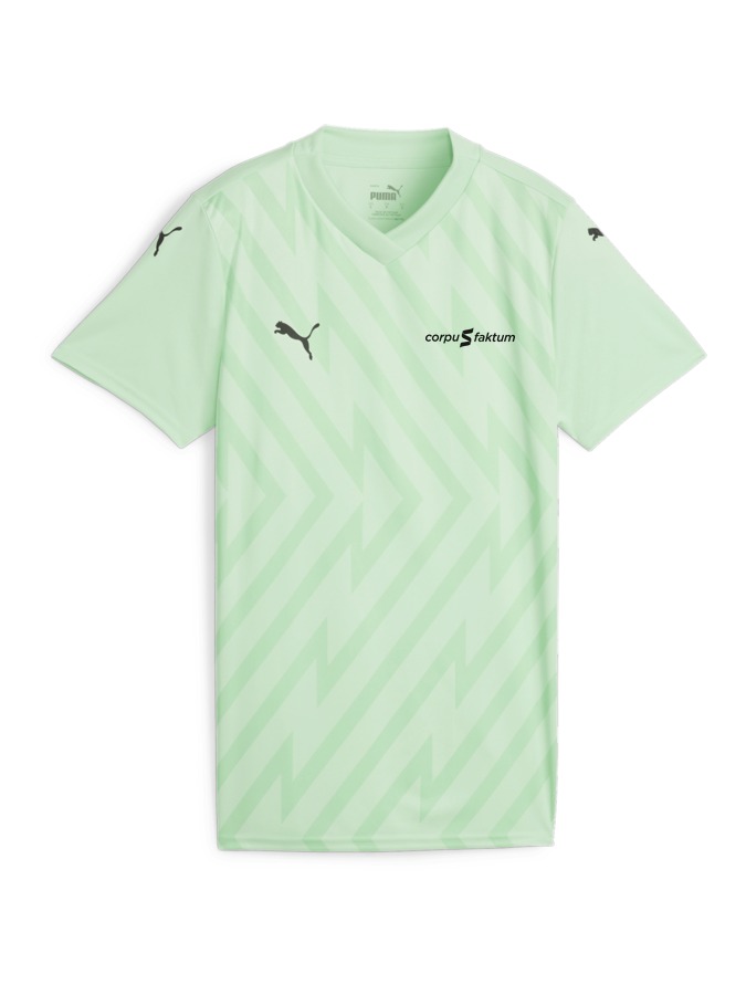 PUMA teamGLORY Trikot Damen