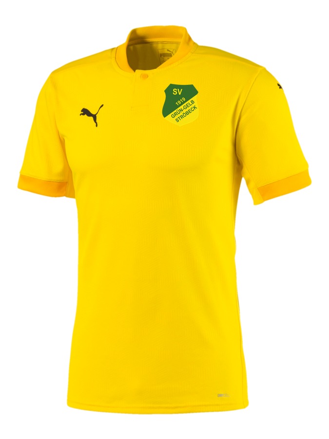 PUMA teamFINAL 21 Trikot