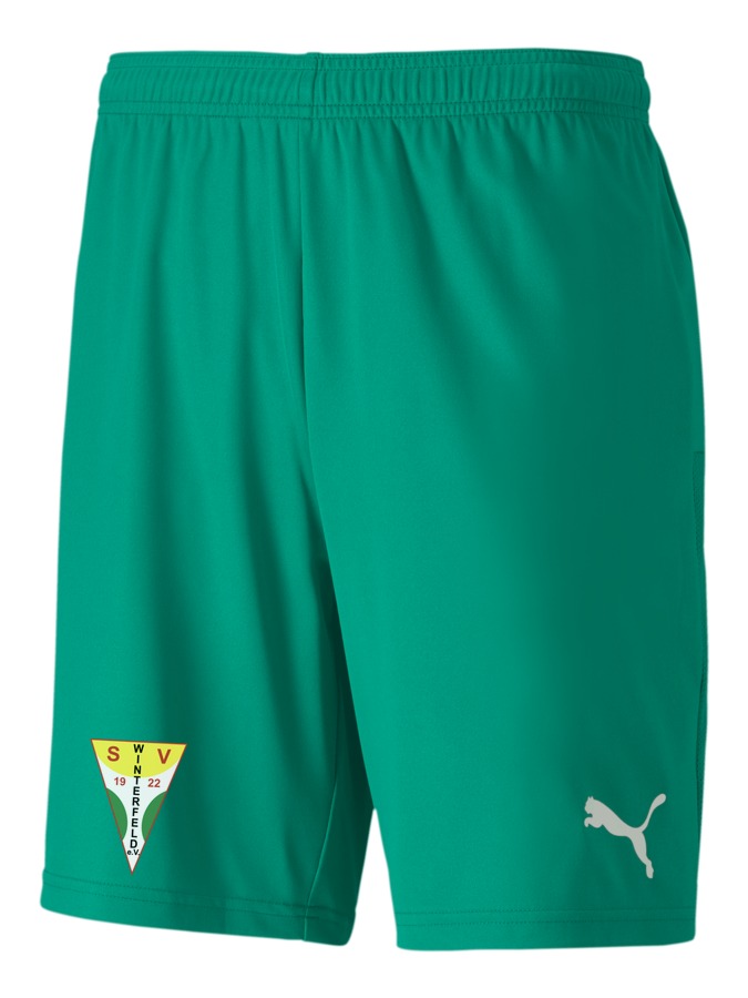 PUMA teamGOAL 23 Knit Shorts