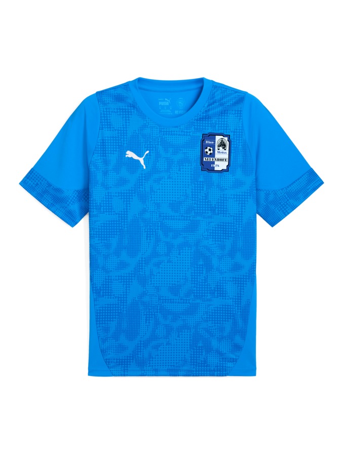 PUMA teamCUP Trainingsshirt