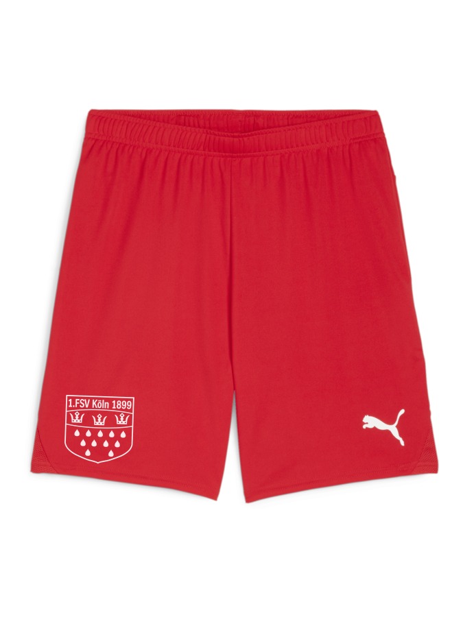 PUMA teamGOAL Shorts