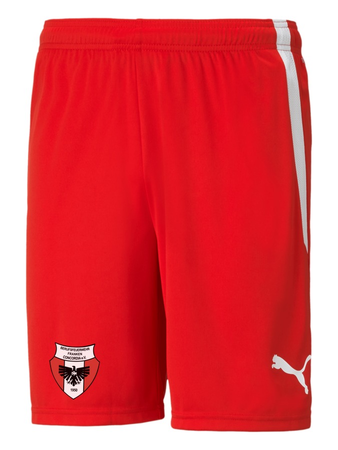 PUMA teamLIGA Shorts