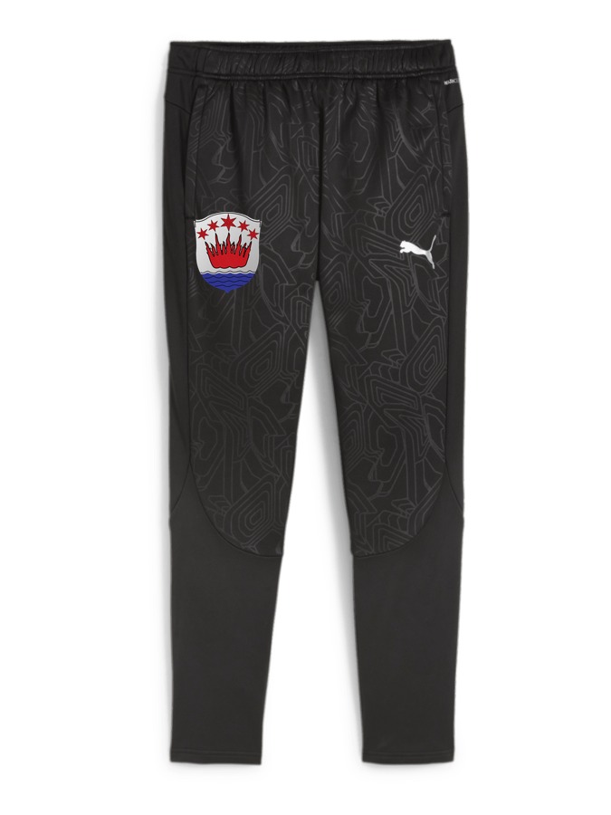 PUMA teamFINAL Warm Hose