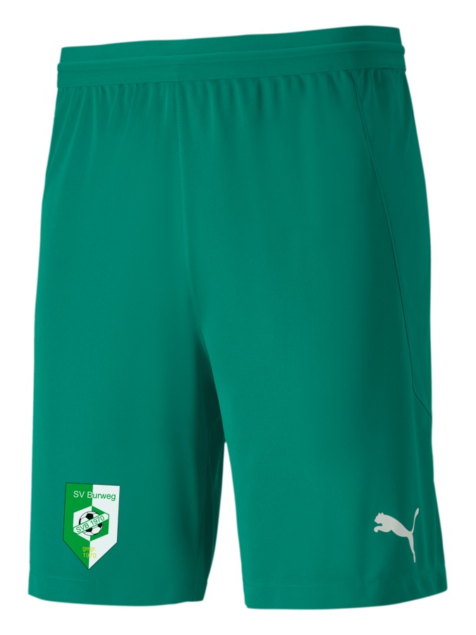 PUMA teamFINAL 21 Knit Shorts
