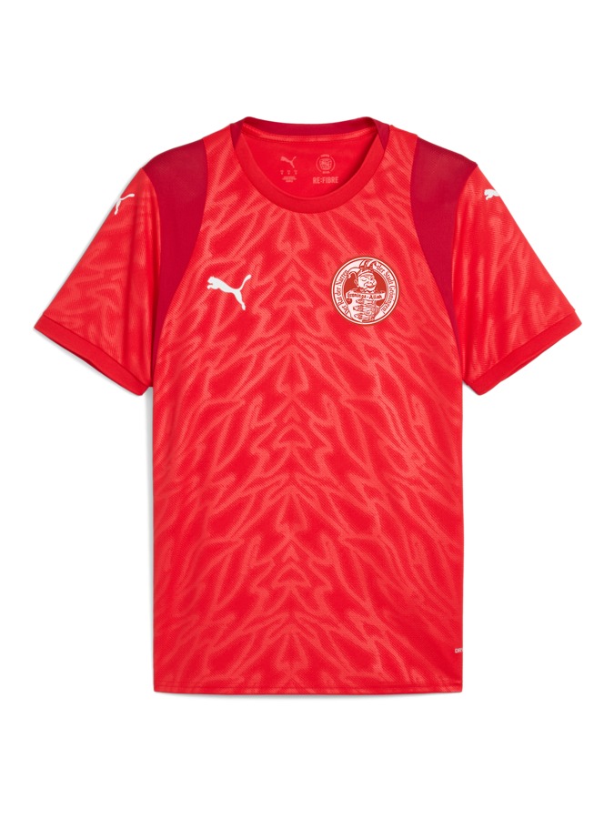 PUMA teamCUP Trikot