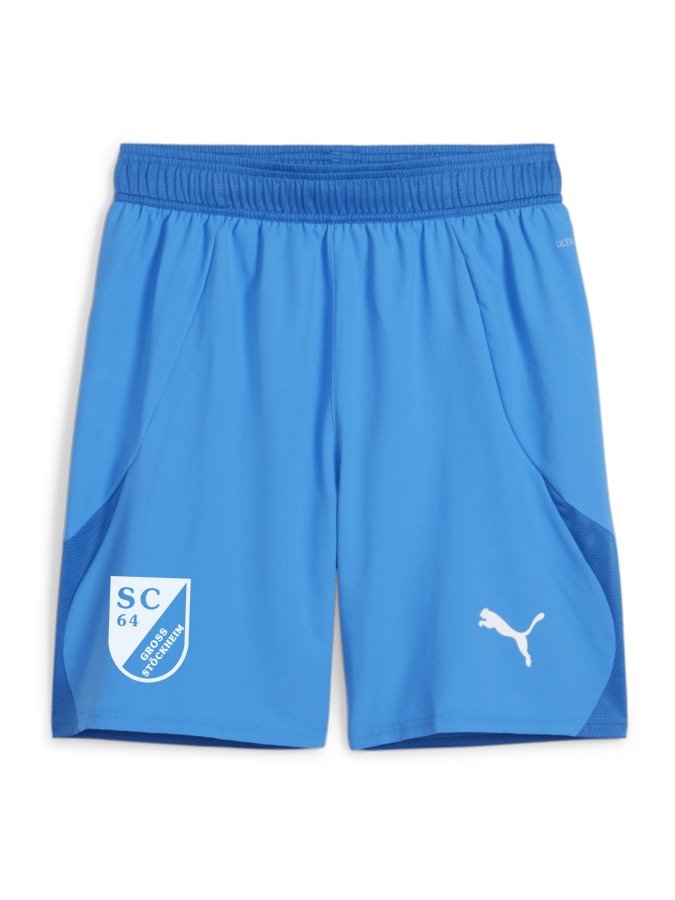 PUMA teamFINAL Shorts