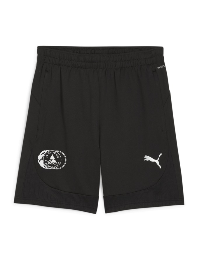 PUMA teamFINAL Training Shorts