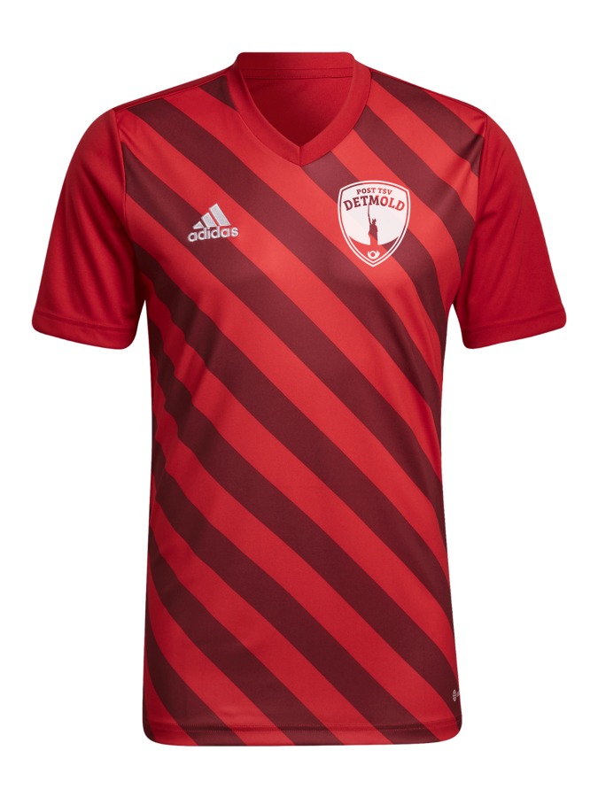 adidas Entrada 22 GFX Trikot