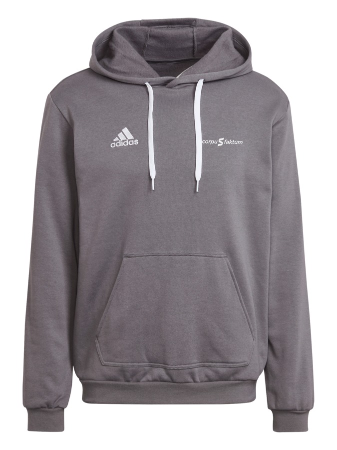 adidas Entrada 22 Hoodie