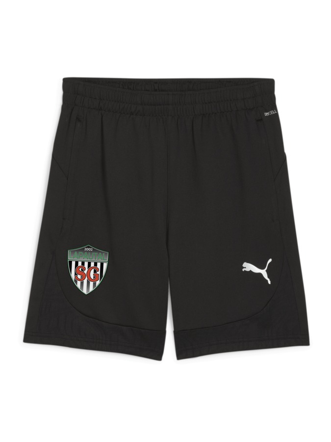 PUMA teamFINAL Training Shorts