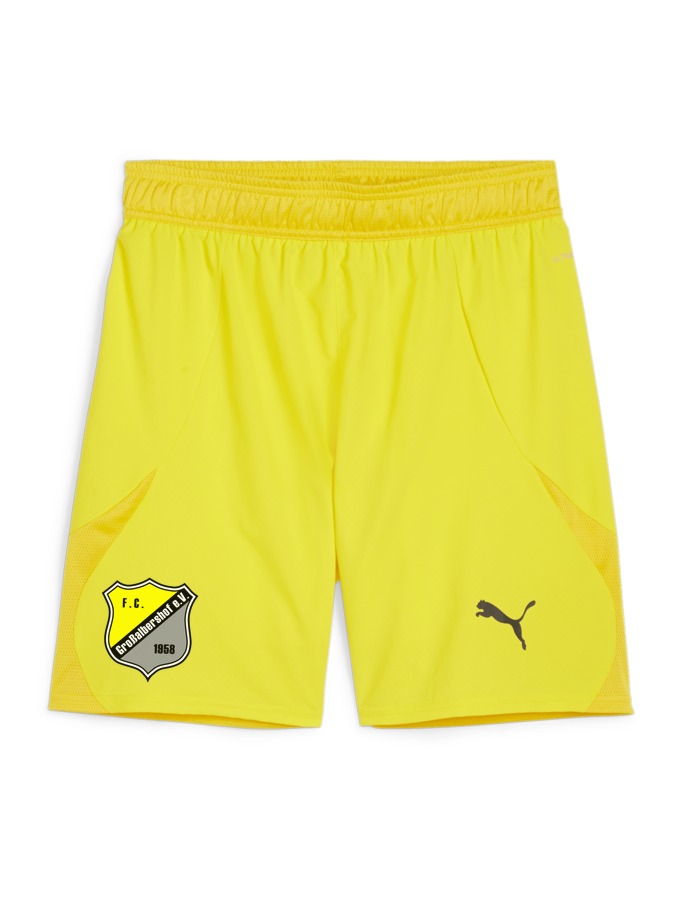 PUMA teamFINAL Shorts