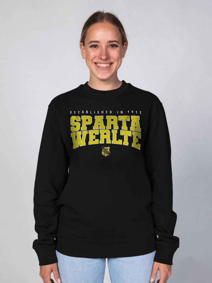 Sweater Retro Damen