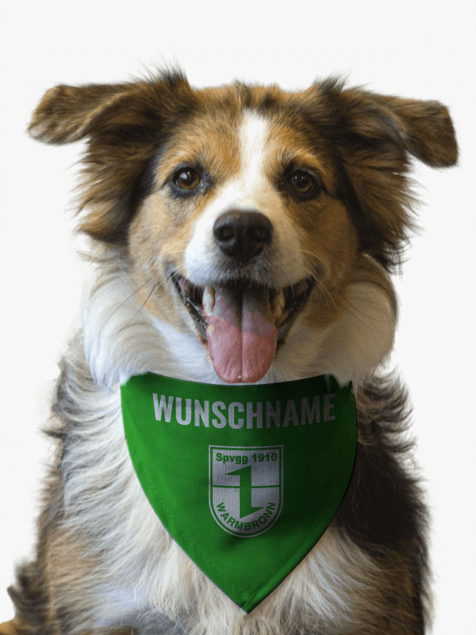 Hundehalstuch