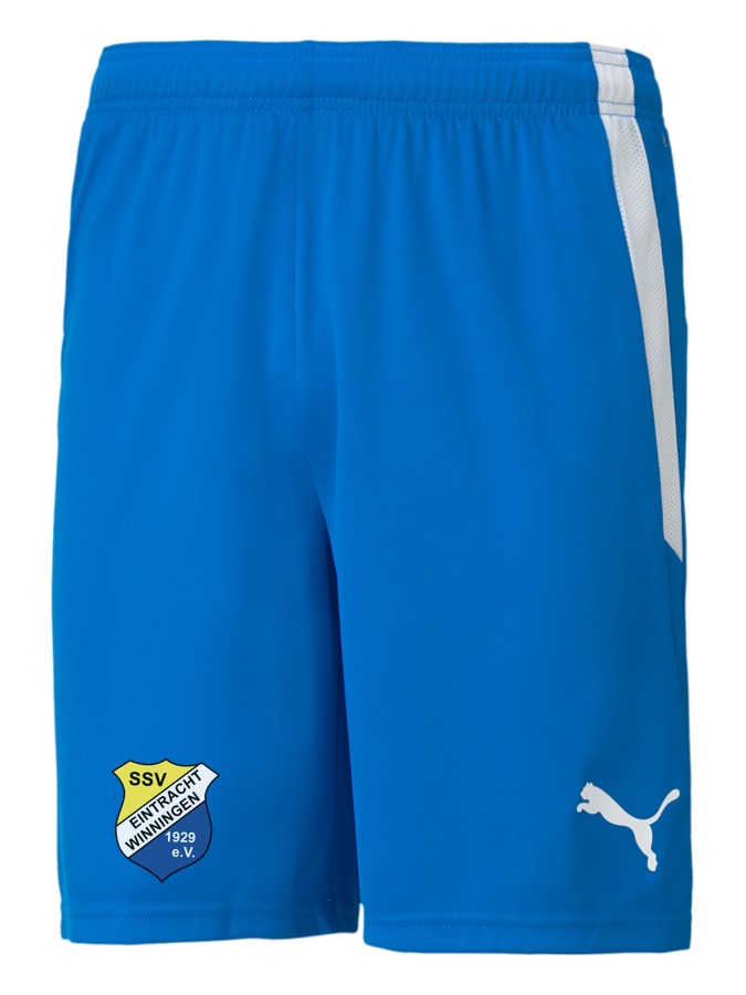PUMA teamLIGA Shorts