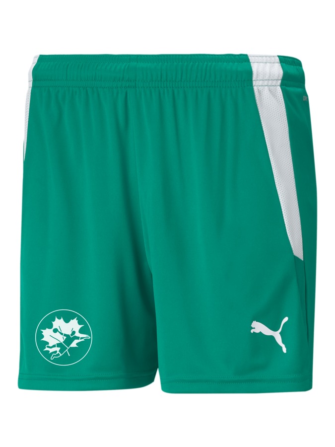 PUMA teamLIGA Shorts Damen
