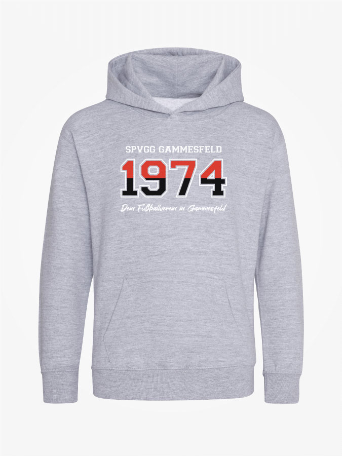 Hoodie Established Kids