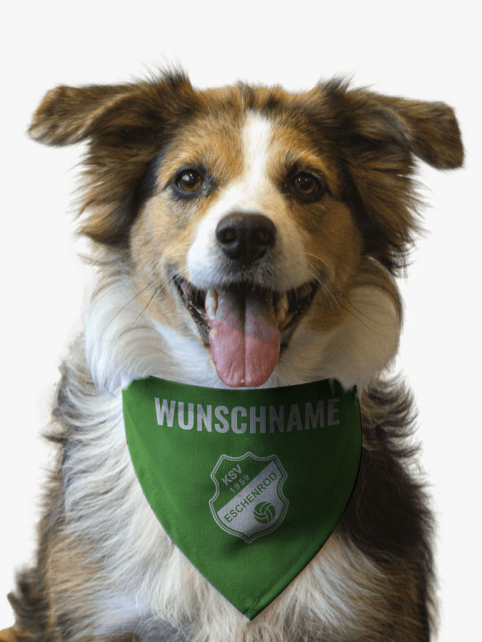Hundehalstuch