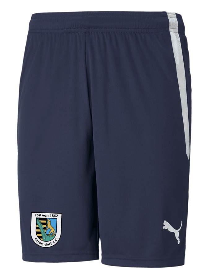 PUMA teamLIGA Shorts