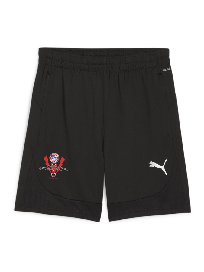 PUMA teamFINAL Training Shorts