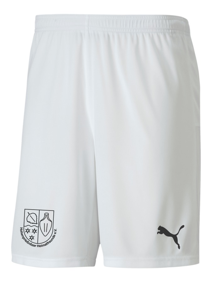PUMA teamGOAL 23 Knit Shorts