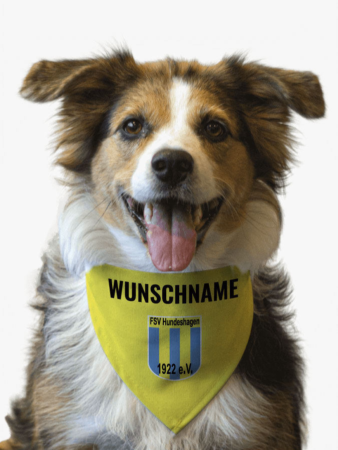 Hundehalstuch