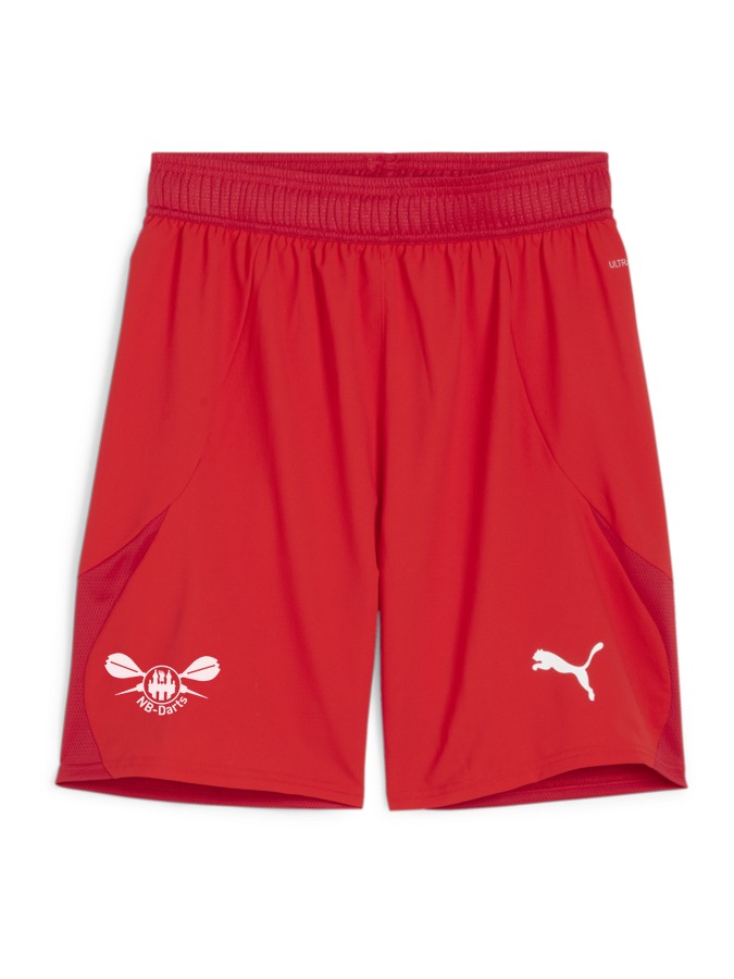 PUMA teamFINAL Shorts