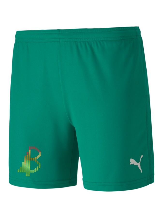 PUMA teamGOAL 23 Knit Shorts Damen