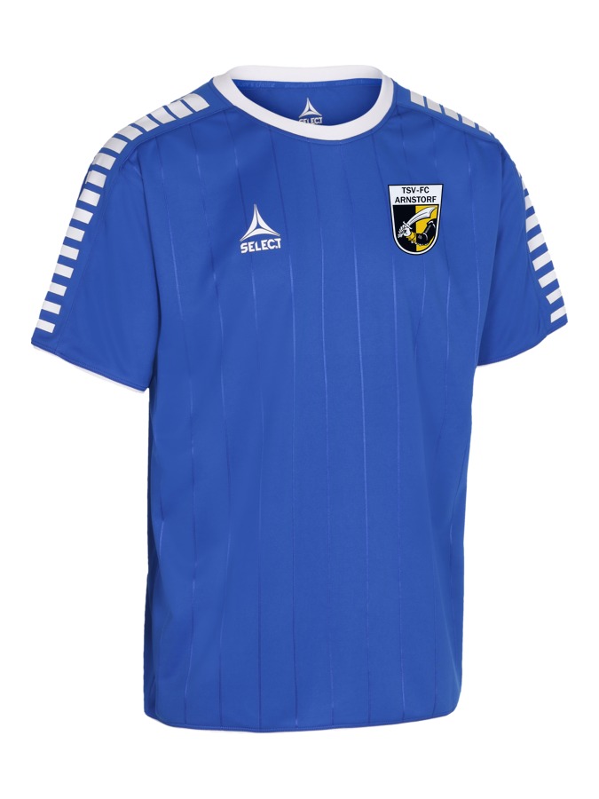 Select Argentina Trikot