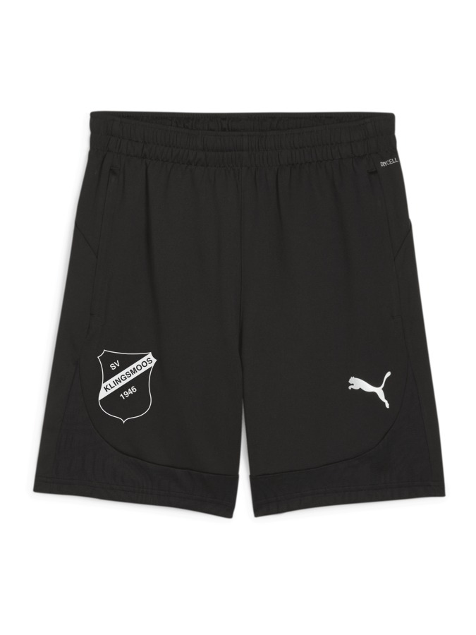 PUMA teamFINAL Training Shorts