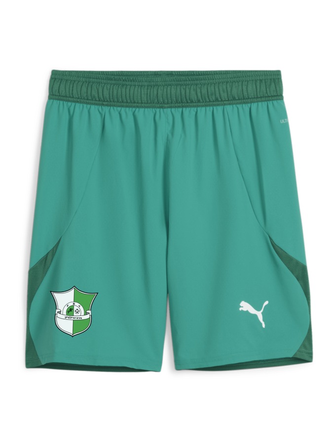 PUMA teamFINAL Shorts