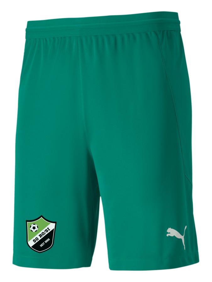 PUMA teamFINAL 21 Knit Shorts