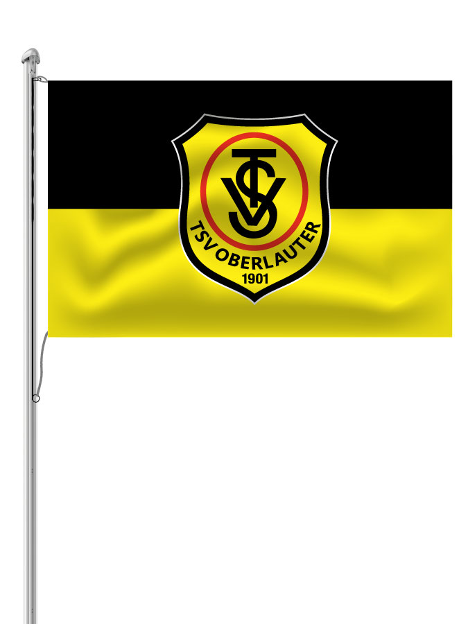 Hissfahne Logo