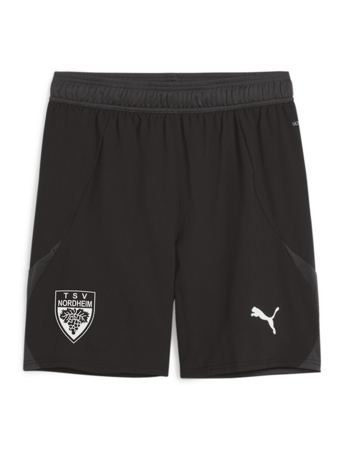 PUMA teamFINAL Shorts