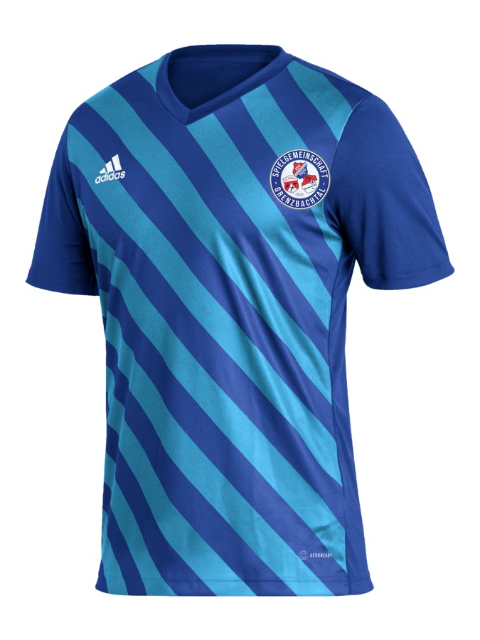 adidas Entrada 22 GFX Trikot