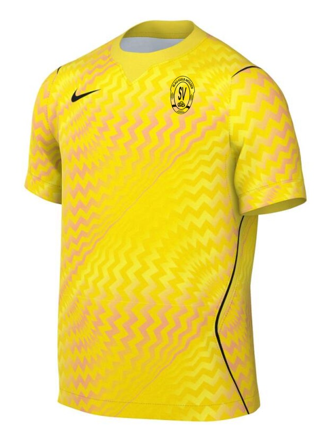Nike Gardien VI Torwart Trikot