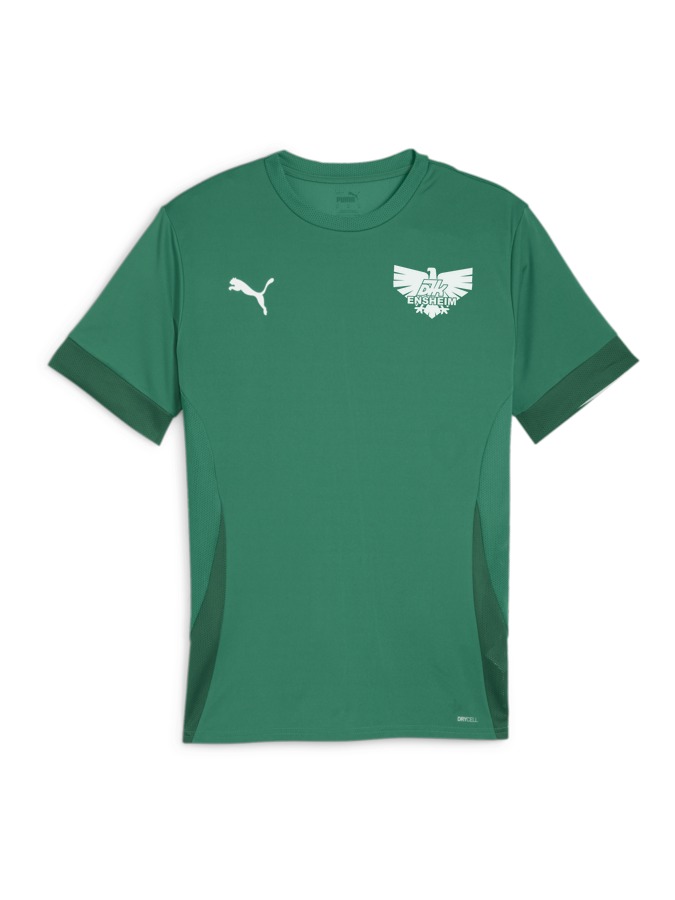 PUMA teamGOAL Matchday Trikot