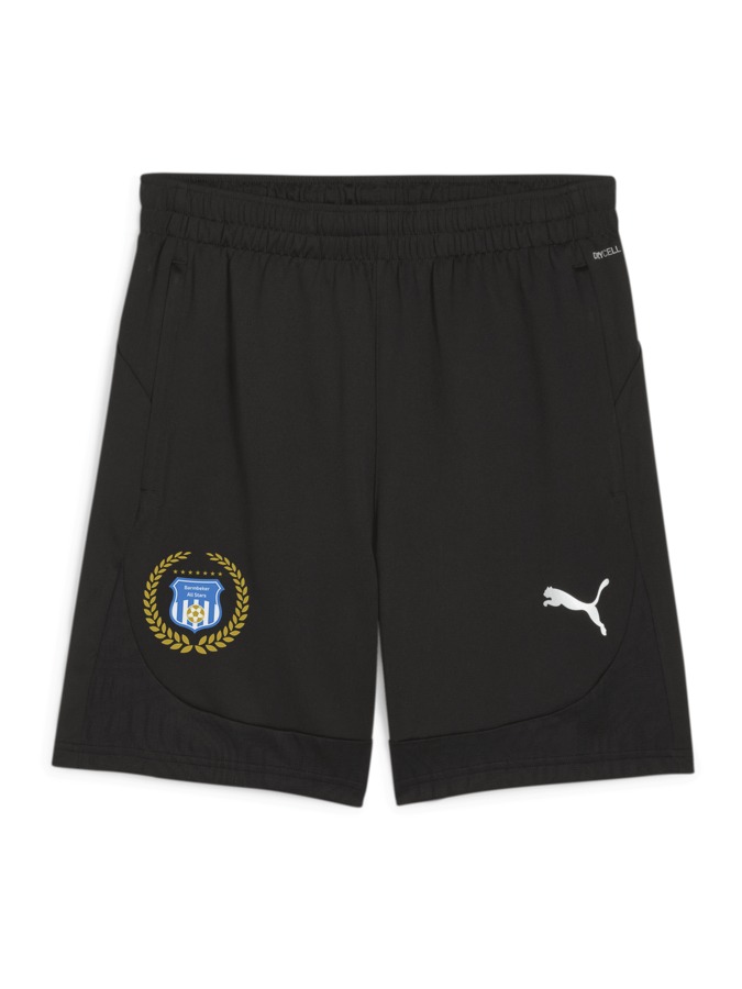 PUMA teamFINAL Training Shorts