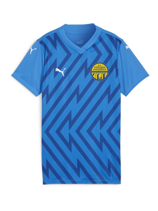 PUMA teamGLORY Trikot Damen