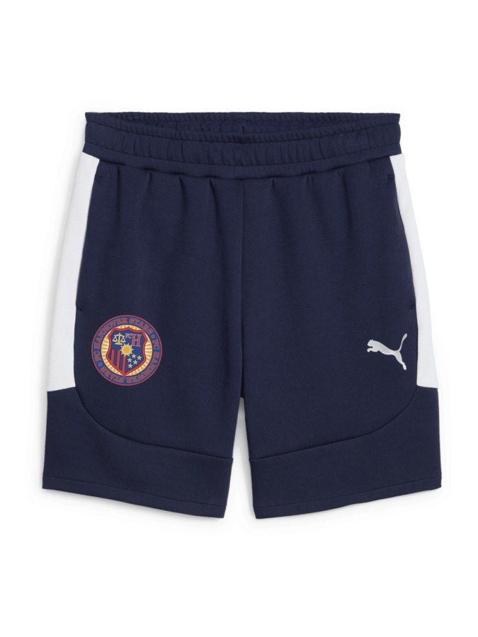PUMA teamEVOSTRIPE Shorts