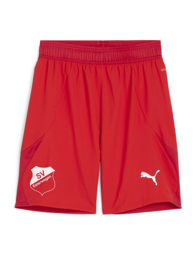 PUMA teamFINAL Shorts