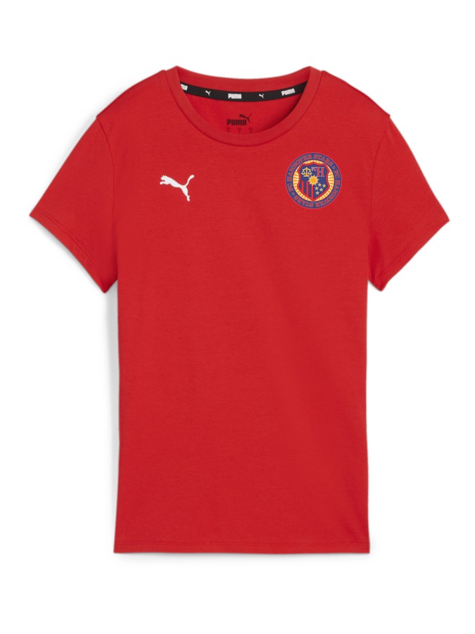 PUMA teamGOAL Casuals T-Shirt Damen