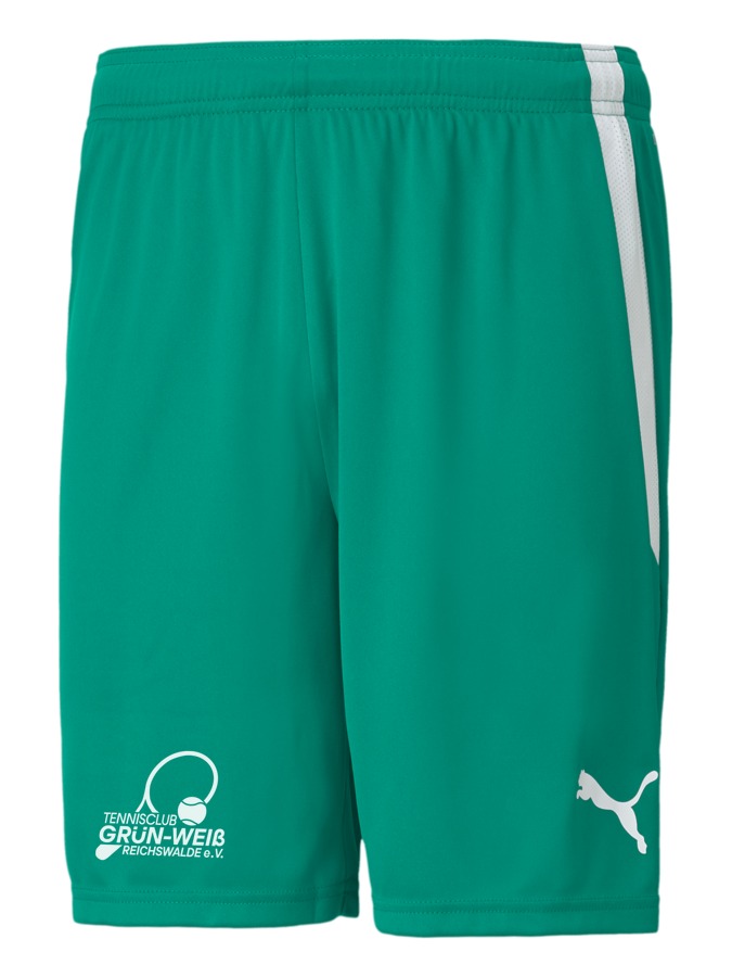 PUMA teamLIGA Shorts