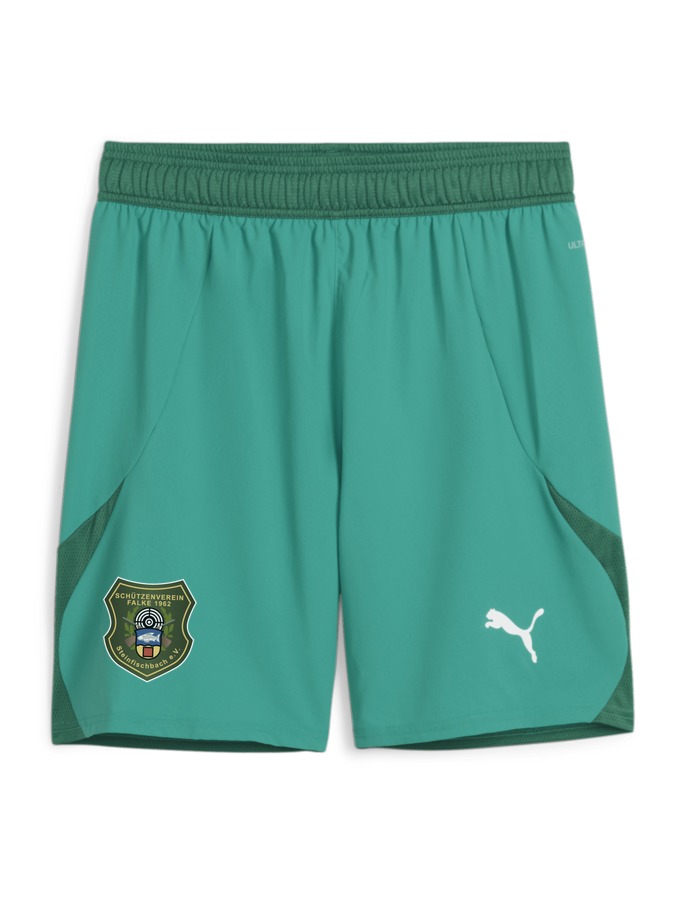 PUMA teamFINAL Shorts