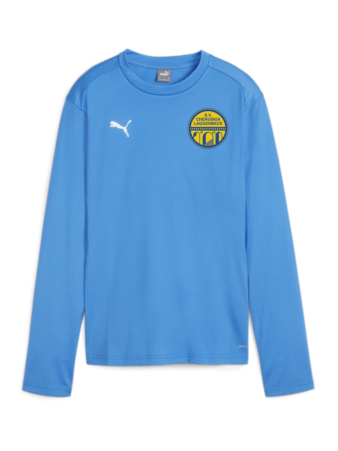 PUMA teamGOAL Training Sweatshirt Damen
