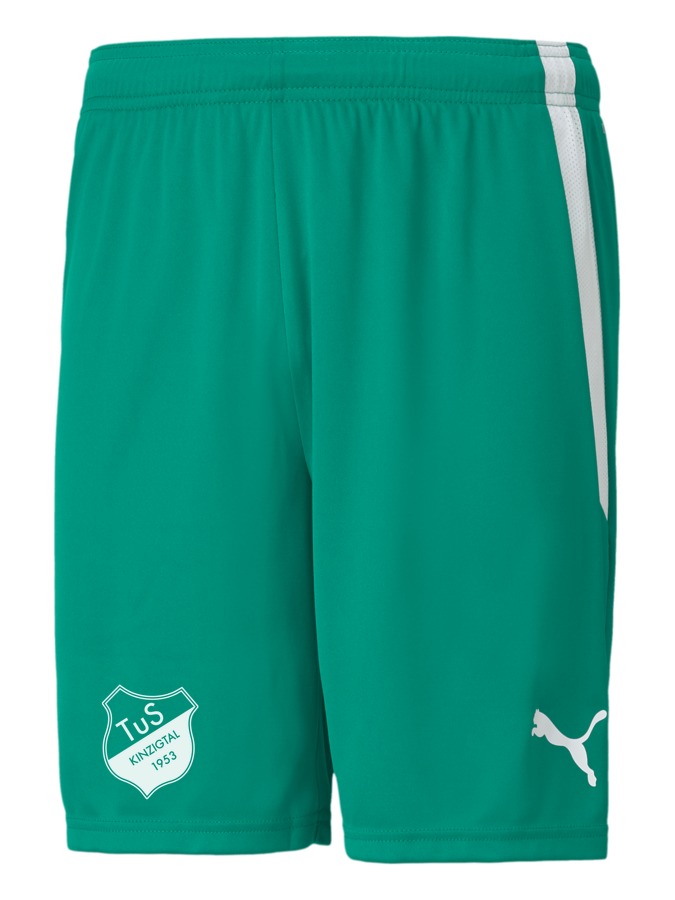 PUMA teamLIGA Shorts