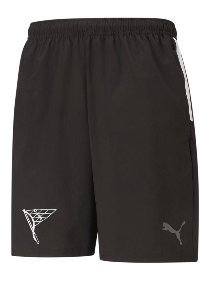PUMA teamLIGA Sideline Shorts