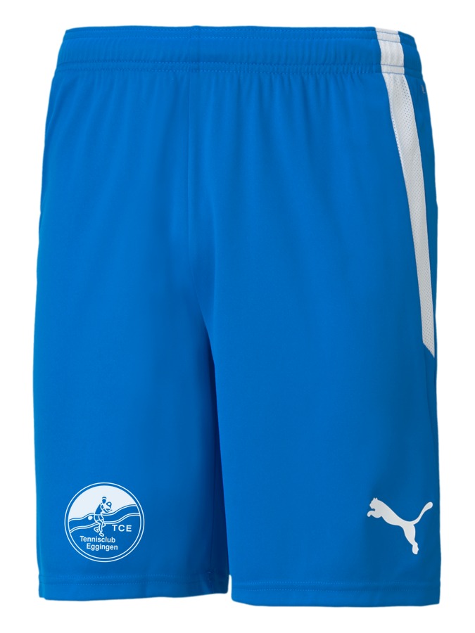 PUMA teamLIGA Shorts