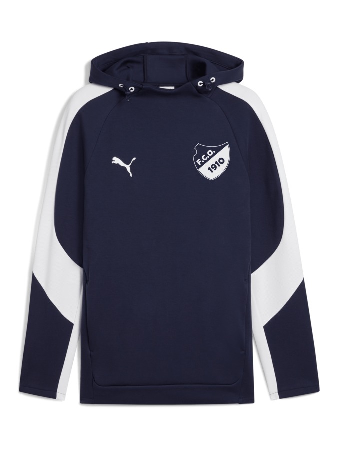 PUMA teamEVOSTRIPE Hoody