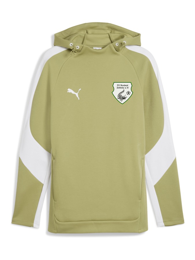 PUMA teamEVOSTRIPE Hoody