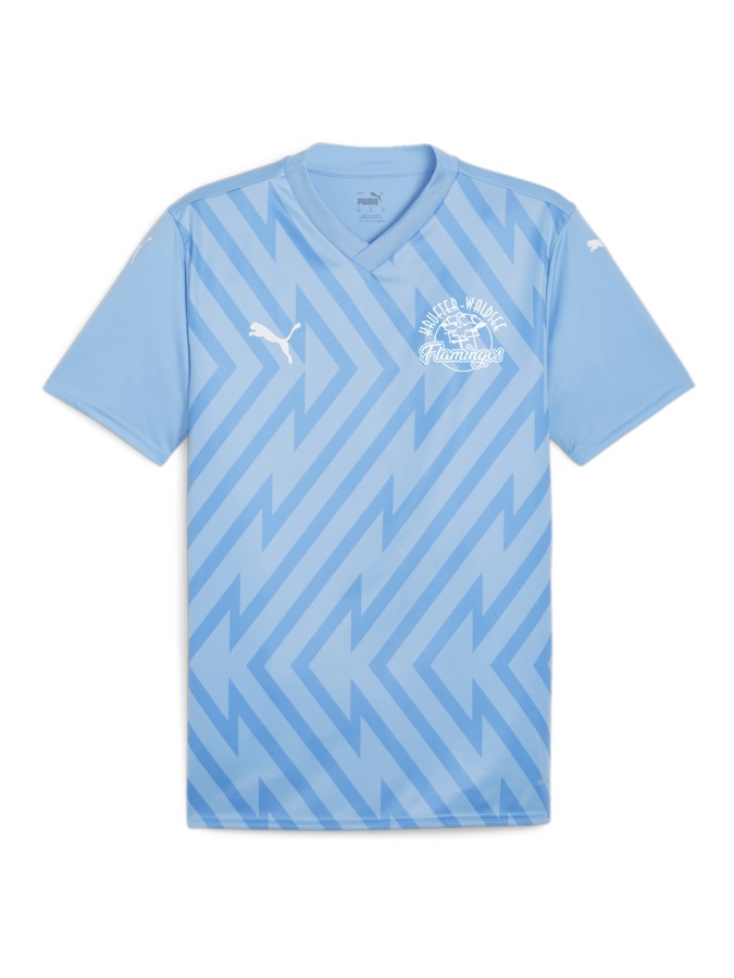 PUMA teamGLORY Trikot